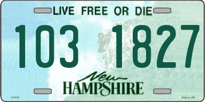 NH license plate 1031827