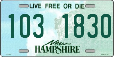 NH license plate 1031830