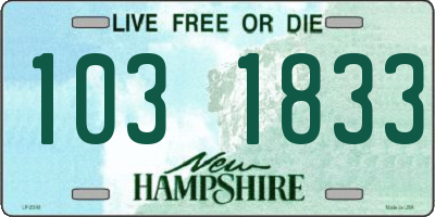NH license plate 1031833