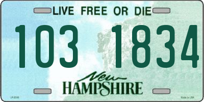 NH license plate 1031834