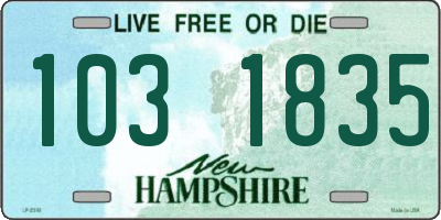 NH license plate 1031835