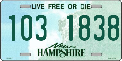 NH license plate 1031838