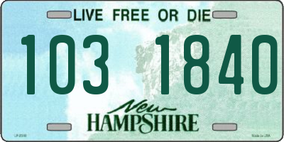 NH license plate 1031840