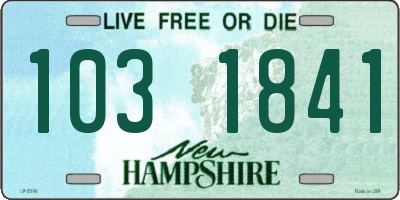 NH license plate 1031841