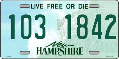 NH license plate 1031842