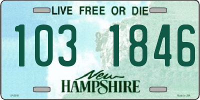NH license plate 1031846