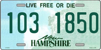 NH license plate 1031850