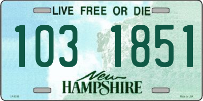 NH license plate 1031851