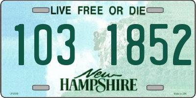 NH license plate 1031852