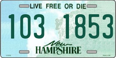 NH license plate 1031853