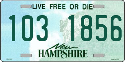 NH license plate 1031856