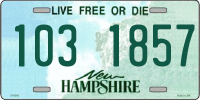 NH license plate 1031857