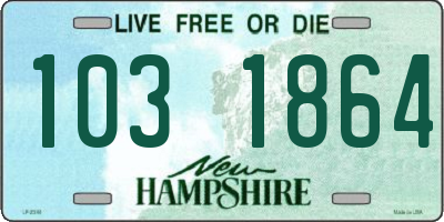 NH license plate 1031864