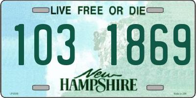 NH license plate 1031869