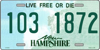 NH license plate 1031872