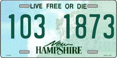 NH license plate 1031873