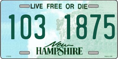 NH license plate 1031875