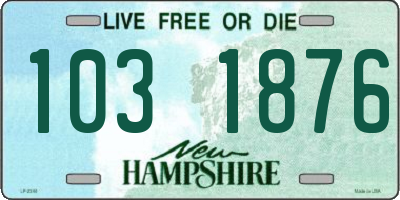 NH license plate 1031876