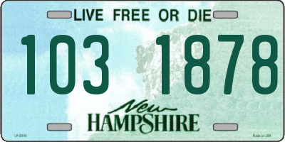 NH license plate 1031878