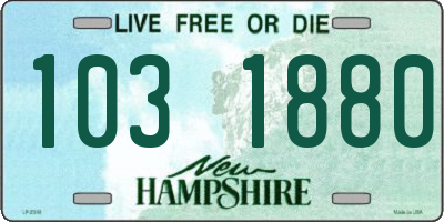 NH license plate 1031880