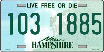 NH license plate 1031885