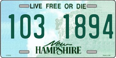 NH license plate 1031894