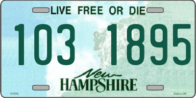 NH license plate 1031895