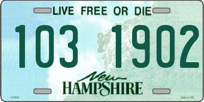 NH license plate 1031902