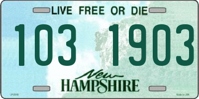NH license plate 1031903