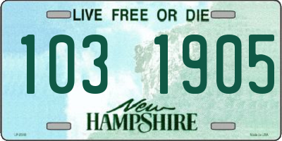 NH license plate 1031905