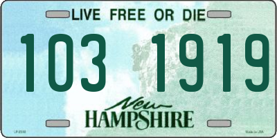 NH license plate 1031919
