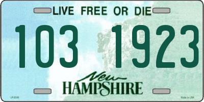 NH license plate 1031923
