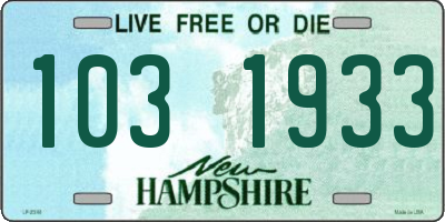 NH license plate 1031933