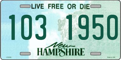NH license plate 1031950