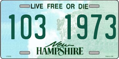 NH license plate 1031973