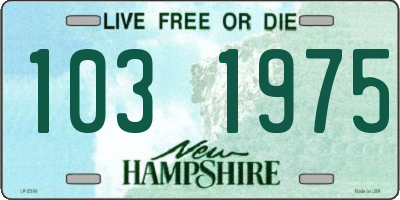 NH license plate 1031975