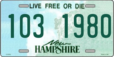 NH license plate 1031980