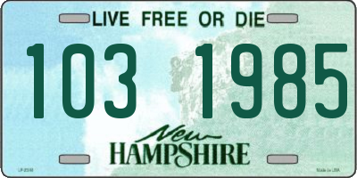 NH license plate 1031985