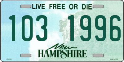 NH license plate 1031996