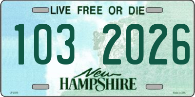 NH license plate 1032026