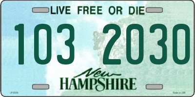 NH license plate 1032030