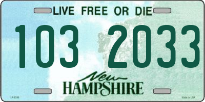 NH license plate 1032033