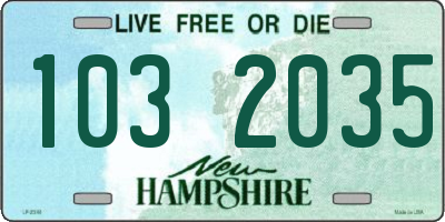 NH license plate 1032035