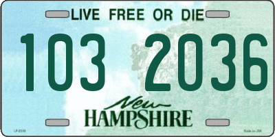 NH license plate 1032036