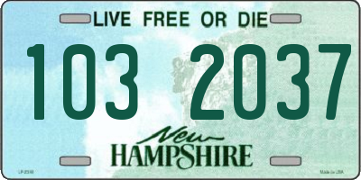 NH license plate 1032037