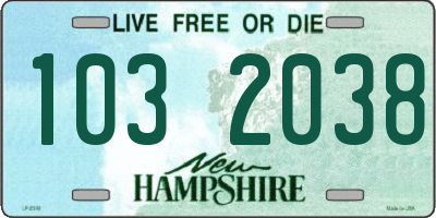 NH license plate 1032038