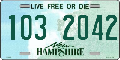 NH license plate 1032042