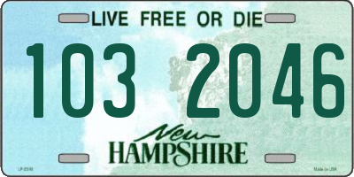 NH license plate 1032046