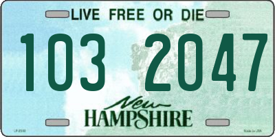 NH license plate 1032047