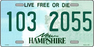 NH license plate 1032055